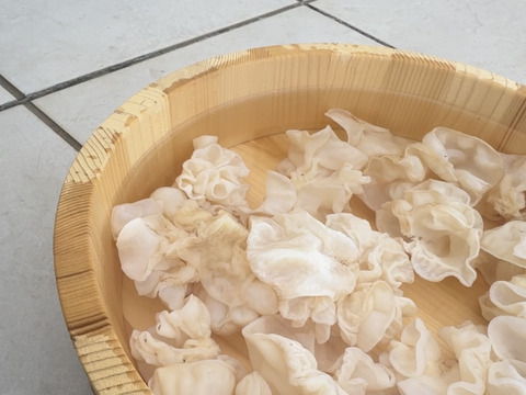 【希少な国産・白い乾燥きくらげ】6袋セット（15g×6袋）～出雲の自然と手仕事から生まれる美容と健康の贅沢食材～