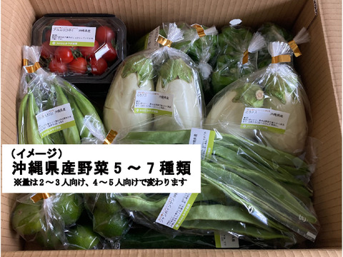 沖縄県産 おまかせ野菜セット（野菜5～7種類(4～5人向け））
