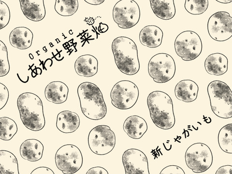 うまみと甘み　有機新じゃがいも 3kg｜アンデスレッド