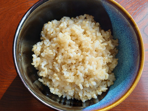 有機JAS認証転換期間中　有機栽培ササニシキ玄米4㎏