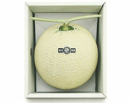 【福袋】”良品メロン”1玉×アイス商品×メロンスプーンの詰め合わせ！