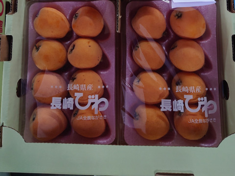 長崎県産　露地びわM玉×16入り