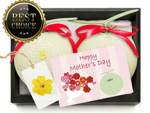 【母の日ギフト】厳選2玉箱入りマスクメロン