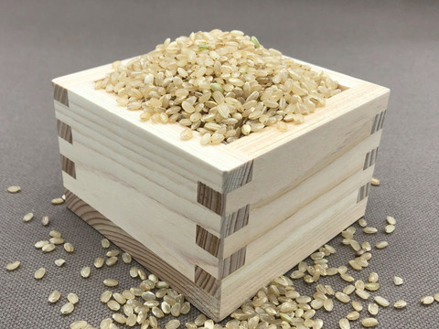 自然栽培のお米『ハッピーヒル』玄米２ｋｇ