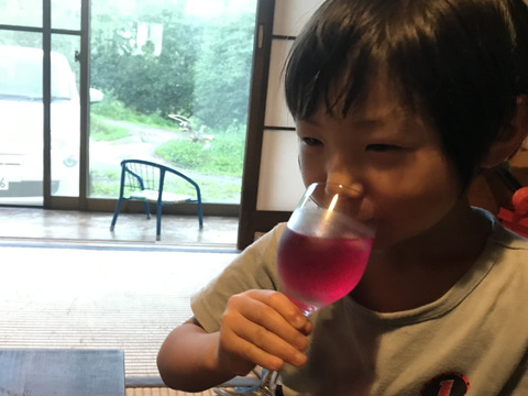 自然栽培の赤シソシロップ