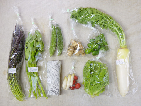 旬の有機野菜Mセット　しあわせ野菜畑（有機JAS）