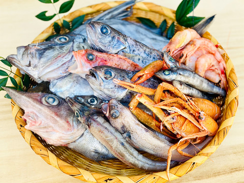 5月先行販売【ガチャ！】欲張って２袋！何が入っているかわからないおかず