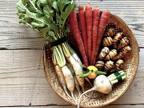 専用　頭芋4kg+京有機野菜雑煮セット