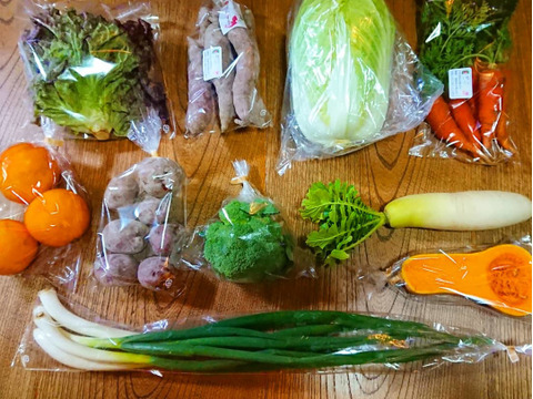 採れたて旬の野菜セット(5〜6品)に、お得なお試し「自然薯」