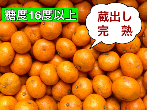 【自宅用　樹上完熟】糖度16度以上の完熟小玉ミカン  尾崎　3kg