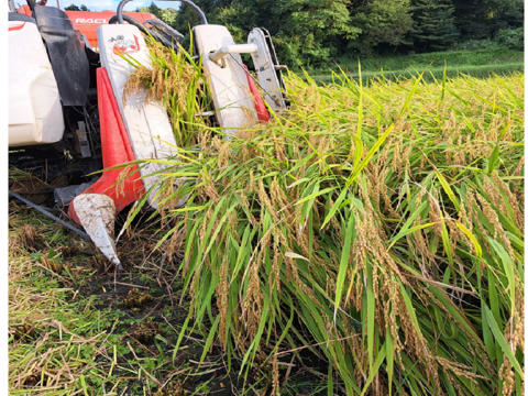 【令和7年産・試食用】【第2弾】新潟・とちお産コシヒカリ（精米2kgポリ袋／農家直送・送料相当分値引き中・箱込み総重量）