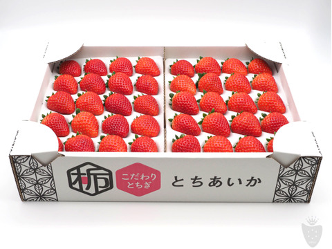 あま〜い♡がギュッとつまった新品種『とちあいか』3箱12パック(1箱で満足1,4kg以上)