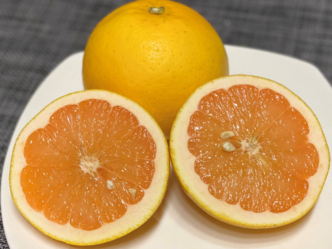 グレープフルーツ　ピンク系　3Ｋ　特別栽培　熊本不知火産