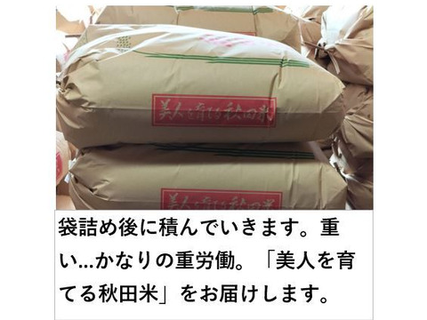 玄米　あきたこまち　25キロ 秋田のあきたこまち＜玄米＞（約25kg）【令和6年度産】：秋田県