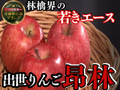 🍎わずか1%昂林こうりん🍎個数限定なかなかお目にかかれない気品高い高級りんご～品種指定キャンペーンお試し特価～🍎秋ギフト🍎【家庭用・贈答用】【2026年10月下旬予約】