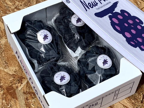 果汁たっぷり！岡山のぶどう『ピオーネ』約２ｋｇ