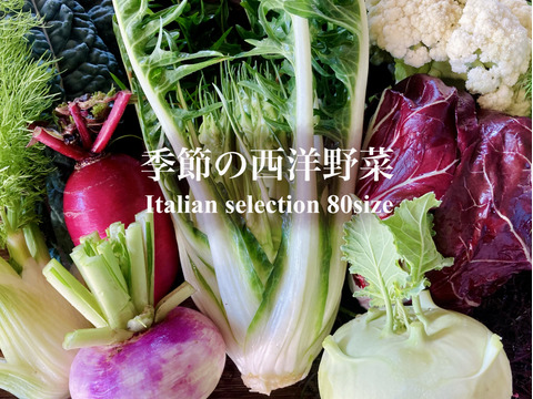 お料理の幅が広がる！季節の西洋野菜Italian selection 80サイズ