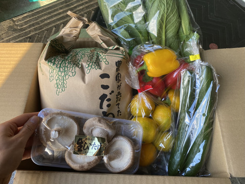 新米5キロと採りたて野菜5品セット（本州の方限定）