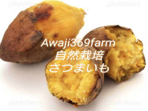 自然栽培★希少さつまいも食べ比べ2種！2キロ　固定種 在来種専門農家（ 淡路Awaji369farmからお届け2500円）農薬不使用　無肥料栽培　内容【安納いも 黄金いも】