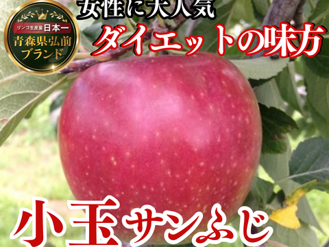 🍎日テレDayDay出演話題沸騰🍎女性に選ばれる食べる腸活“ちょうどいい『小玉サンふじ』お試し特価キャンペーン約11～13個