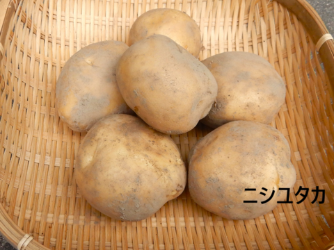 甘くておいしい『キタアカリ』、ホクホク食感の『アンデスレッド』、煮崩れしにくい『ニシユタカ』、なめらかな食感の『シンシア』が入った自然栽培のジャガイモ食べ比べセット各800g入りの3.2kg