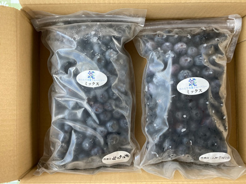【今夏、最後の出品です！】大粒　冷凍ブルーベリー　2kg 品種ミックス　アイス好きな方におススメです。