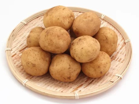 「二大じゃが頂上決戦！ホクホク派のための“プレミアムじゃがセット”」【那須高原産】キタアカリ・男爵　各３Ｋ