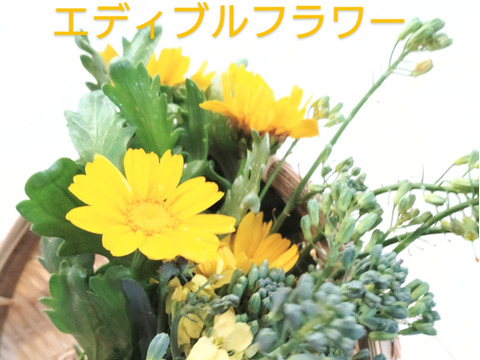 【まとめ買い用】エディブルフラワー❀ 食用になる花束❀ブロッコリー、春菊、ルッコラの花束❀各３束ずつ（合計９束）