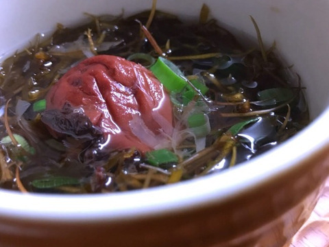 春あおさ＆お試しセット　（海藻）