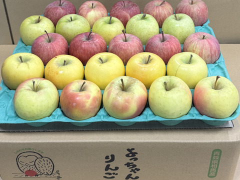 ★選べる４種★オールスター小玉🍎🍏💛💚家庭用約4.5Kg　食べ比べ　サンふじ　王林　シナノゴールド　ぐんま名月　青森県産　数量限定　４種の中から選べる　好きな数　好きな種類