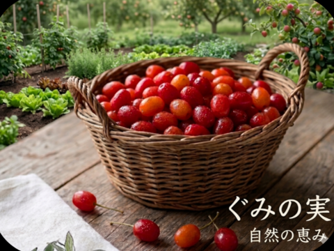 冷凍☆グミの実☆グミの木の実☆30個入り🍒 冷凍便にてのお届けになります🍒栄養価の高い和製スーパーフード、グミの実🍒 （※そのまま食べれますが渋みがありますので気になる方は果実酒やジャム等に）
