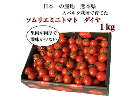 塩トマトのようなフルーツトマト ソムリエミニトマト ダイヤ1kg 熊本県産の野菜 食べチョク 産地直送 産直 お取り寄せ通販 農家 漁師から旬の食材を直送 塩トマトのようなフルーツトマト ソムリエミニトマト ダイヤ1kg 熊本県産の野菜 食べチョク 産地直送 産直 お取り寄せ通販 農家 漁師から旬の食材を直送