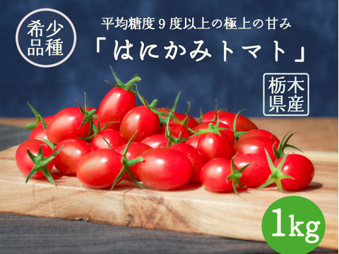 1kg【はにかみトマト】平均９度以上の高糖度！希少な品種のフルーツトマト