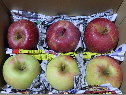 【少量追加！】サンふじ＋ぐんま名月　家庭用　1.6～1.7キロ【葉とらず】JA基準より60％減の低農薬栽培【りんご食べ比べ】