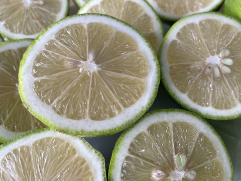-爽やか芳醇-  グリーン『ATAMI de LEMON®』4Kg〔秀・優〕この季節だけの期間限定