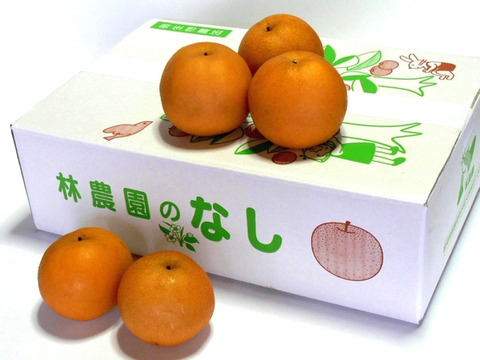 新高梨(家庭用) 約2.5kg(5~4玉)