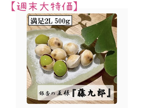 限定10箱！　銀杏の王様【藤九郎】2Lサイズ（500ｇ）