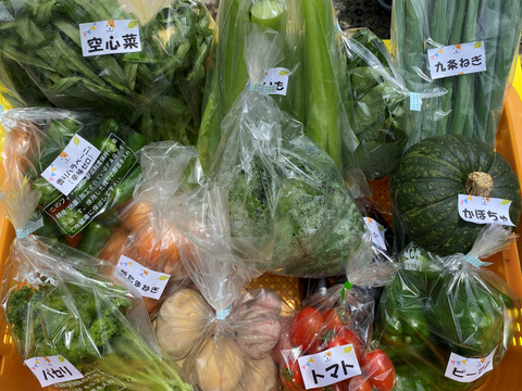 【数量限定☆希少の柑橘セット🎁】甘さいっぱい！お得いっぱい！野菜果物詰め合わせ箱☆🥗🍠🥦＋和歌山産不知火付き🍊🍋濃厚な甘味