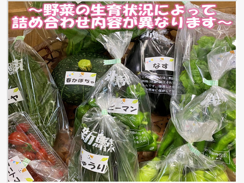 箱いっぱいセット たくさんの種類 ちょうどいい量 お料理好きの野菜詰め合わせ ペットも食べられる野菜 和歌山県産 食べチョク 農家 漁師の産直ネット通販 旬の食材を生産者直送