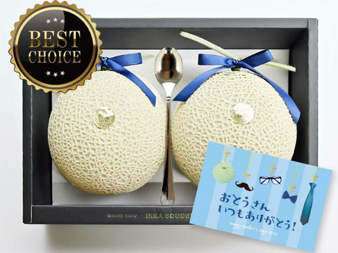 早割価格！【父の日ギフト】「マスクメロン厳選品」2玉箱入り