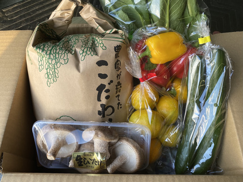 新米5キロと採りたて野菜5品セット（本州の方限定）