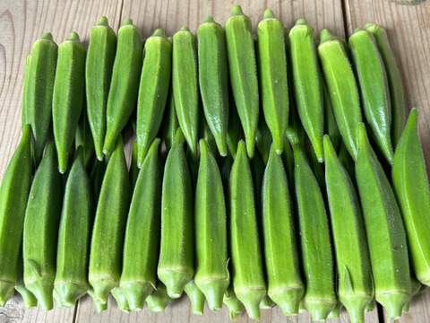 【完売】新鮮オクラ約1キロ 完売】新鮮オクラ約1キロ 野菜