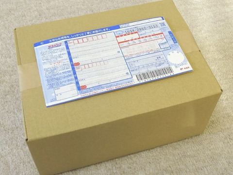 お任せ夏野菜4〜7品目　60サイズ