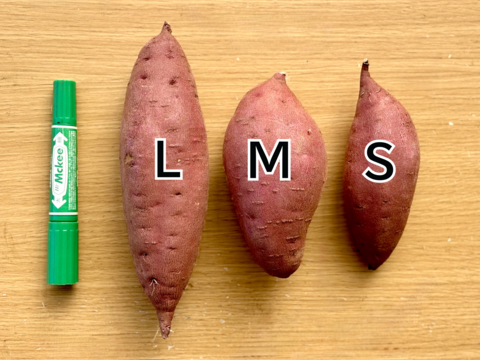 ホクホクむっちり「栗かぐや」色々なサイズ入り 5キロ箱