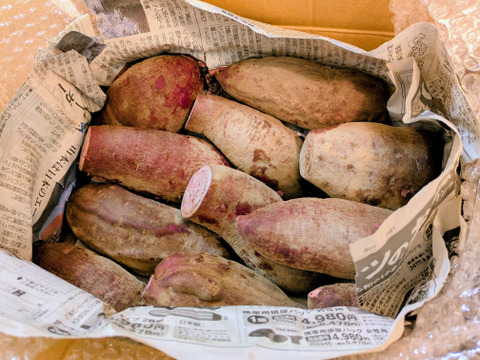 【訳あり】鮮やかな紫色　紫芋　4kg以上　（あやむらさき）