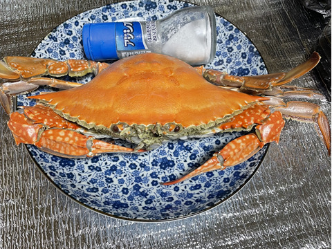 特大ワタリガニ 愛知県伊勢湾産 メス2匹ギッシギッシの内子自信あり 1匹 約550g合計 約1 1kg 基本茹でて発送します 冷凍冷蔵生も 愛知県産の魚介類 食べチョク 産地直送 産直 お取り寄せ通販 農家 漁師から旬の食材を直送