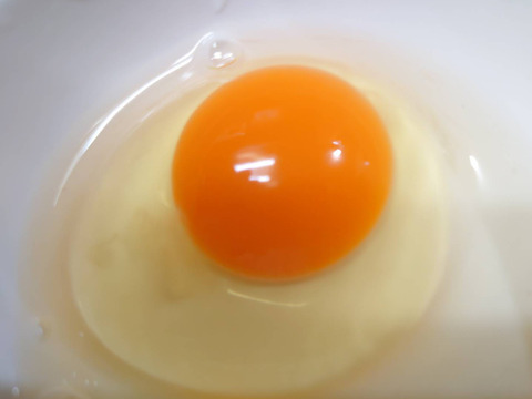 出荷当日の朝採り新鮮お届け致します！平飼い濃厚卵　アローカナ15個：純国産赤鶏あずさ15個計30個＋割れ保証