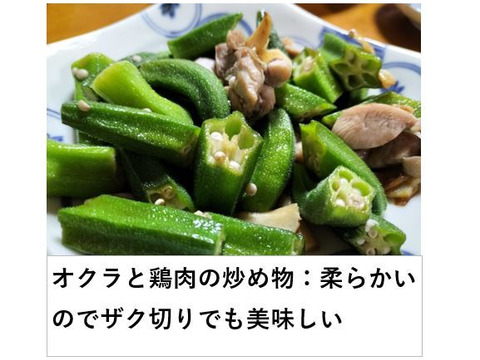 オクラ 柔らかトロうま！口の中で弾けるプチプチの種！＜20本/約250g＞