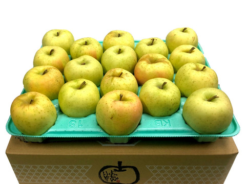 甘ぁ～い💛トキ🍏家庭用約4.5Kg🍏青森県産　数量限定
