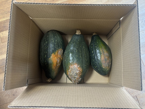 【サラダカボチャ】万次郎（２ヶ月間追熟後）生まるごと（2～2.5kg/個）３個入